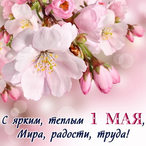 Нежные весенние цветы к празднику 1 Мая