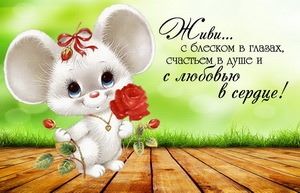 С днём рождения, мышка с цветами
