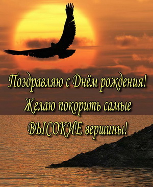 Орел на фоне заката над водой