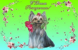 Поздравление, собачка с цветком