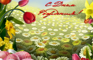 Открытка, ромашковое поле