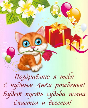 Маленький котенок поздравляет с Днем рождения