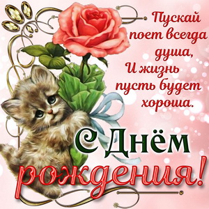 Котёнок дарит розочку девушке на День рождения