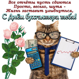 Забавный котик с калькулятором