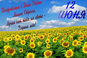 Поздравляем с Днём России, поле, подсолнухи