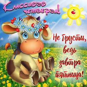 Забавная коровка желает классного четверга