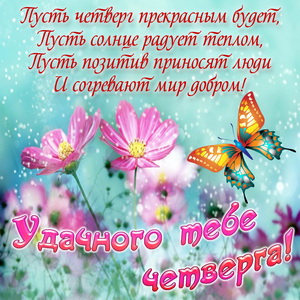 Красивое пожелание на четверг с бабочкой