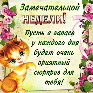 Милая кошечка желает замечательной недели