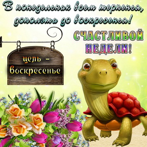 Черепашка ползет до воскресенья