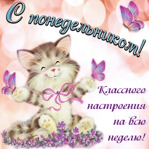 Счастливый котёнок в окружении бабочек