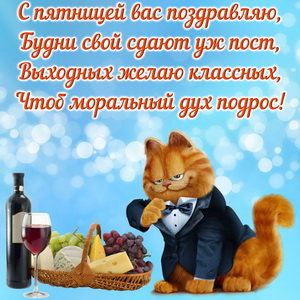 Серьезный котик поздравляет с пятницей