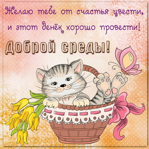 Котенок в корзинке с цветами