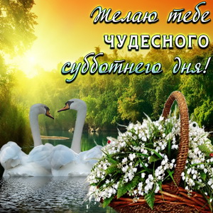 Открытка с лебедями на красивом фоне