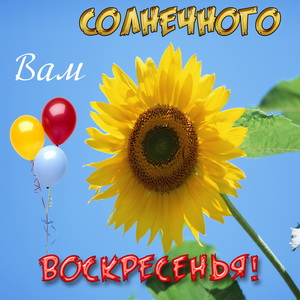 Открытка с подсолнухом и шариками