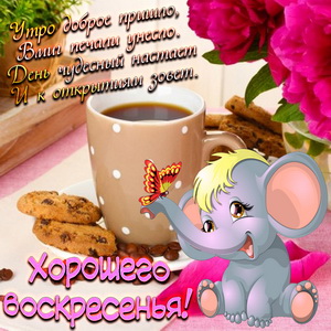 Открытка со слонёнком на красивом фоне