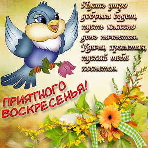 Птичка желает приятного воскресенья