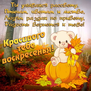 Медвежонок и пожелание красивого воскресенья