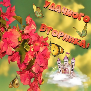 Красивые бабочки на нежном фоне