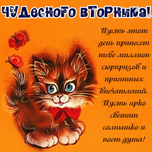 Открытка с красивым пожеланием на вторник