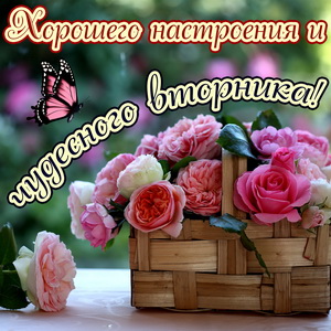 Корзина роз для хорошего настроения