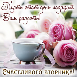 Красивые розы и пожелание счастливого вторника