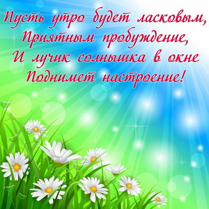 Открытка с ромашками и пожеланием