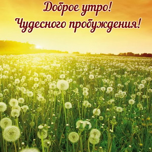 Доброе утро! Чудесного пробуждения!