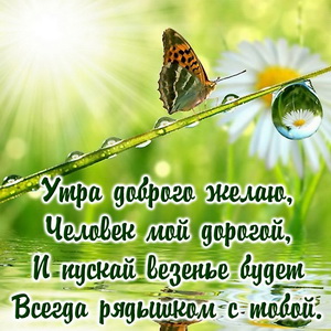 Пожелание доброго утра дорогому человеку
