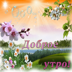Открытка с красивым фоном природы