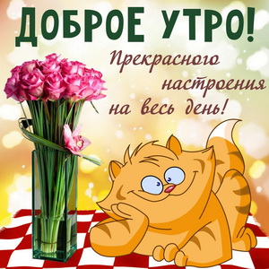 Забавный котик с букетом цветов