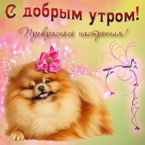 Милейшая собачка желает доброго утра