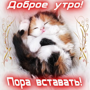 Картинка доброе утро, пора вставать