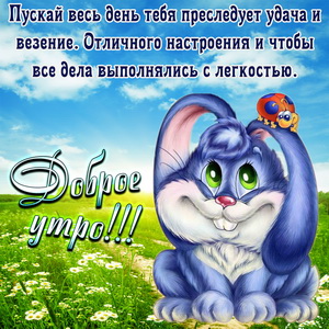 Забавный кролик желает доброго утра