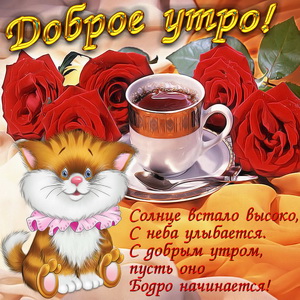 Забавный котик желает доброго утра