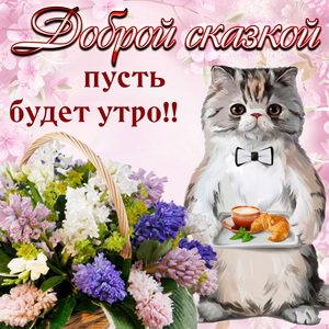 Милый котик и пожелание на утро
