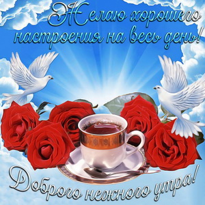 Розы и голуби в красивом оформлении