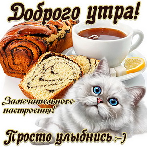 Открытка с милым котиком желающим доброго утра