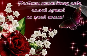 Бабочка на фоне красивых цветов