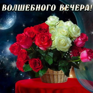 Волшебного вечера и букет роз