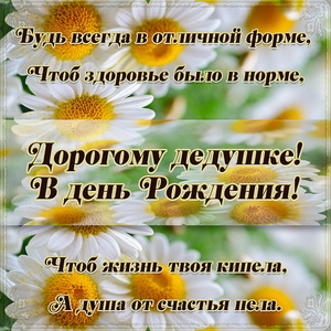 Поздравление для дедушки на фоне ярких ромашек