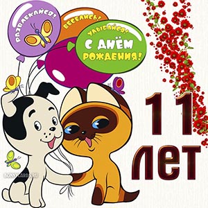 С Днём рождения 11 лет, развлекайся, веселись, улыбайся