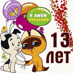 С Днём рождения 13 лет, развлекайся, веселись, улыбайся