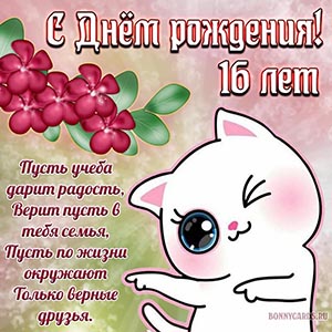 Поздравление на День рождения с весёлым котиком