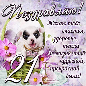 Картинка с собакой в корзинке и пожеланием на 21 год