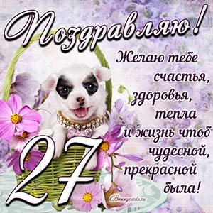 Картинка с собакой в корзинке и пожеланием на 27 лет