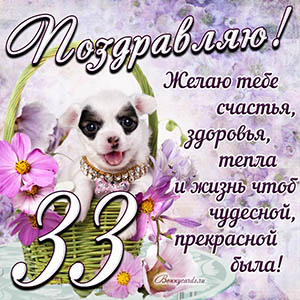 Картинка с собакой в корзинке и пожеланием на 33 года