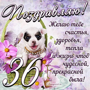 Картинка с собакой в корзинке и пожеланием на 36 лет