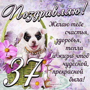 Картинка с собакой в корзинке и пожеланием на 37 лет