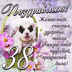 Картинка с собакой в корзинке и пожеланием на 38 лет