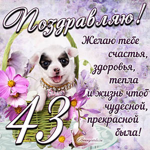 Картинка с собакой в корзинке и пожеланием на 43 года